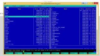 Use and switch between Apache or Nginx within one development environment