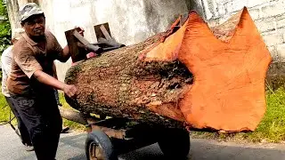 A dangerous manual process in a sawmill 