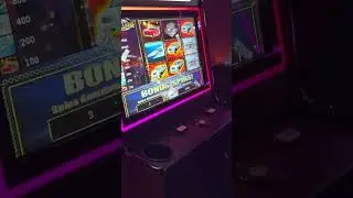 Бонусные вращения с максимальной ставкой 4 доллара. Игровой автомат Living Large PA Skills.