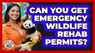 Can You Get Emergency Wildlife Rehab Permits? - Animal Care Jobs