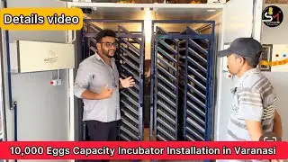 10,000 Eggs capacity Egg incubator | latest technology made in India 85% Hatching #viral #incubator