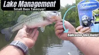 Lake Management! ** Baitcaster Give Away **