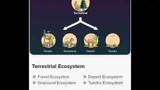 # Types of Ecosystems#@@