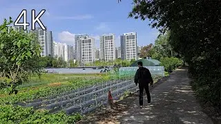 Прогулка из сельской местности в город, Инчхон - пешеходная экскурсия в 4K (2/2)