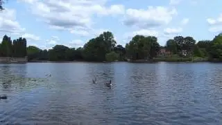 Hamburg, Alster, Ufer Hayns Park, Blick auf Alsterufer Bebelallee, Full HD (1080p) Videobild