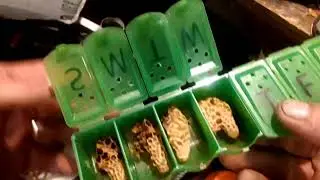 pill minder queens