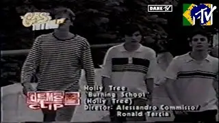 Holly Tree - Burning School