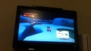 Catz wii polar fields mission