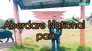 The Most Beautiful and Scenic place to visit in Africa: Aberdare National park, Karuru Waterfalls