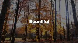BOUNTIFUL BLESSINGS (LYRICS VIDEO