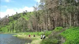 Iwan Fals - Sang Petualang
