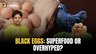 Kadaknath eggs in high demand in TN; are they worth the money? | The Federal