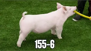 155-6 barrow