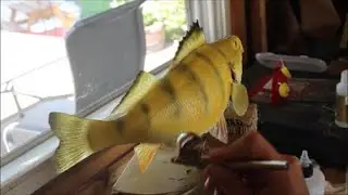Replica Fish Mount Guide