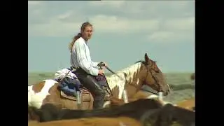 Reitweisenübergreifend: Einige meiner schönsten Momente beim Ausreiten in Feld, Wald, Wüste und ...