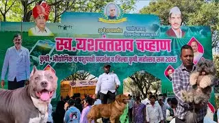 Karad krushi Pradarshan  डॉग शो.. 29.12.2025, #karad #Satara  #Dog show Maharashtra 
