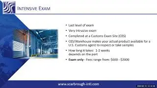 What is an Intensive Exam? US Customs Exam