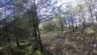 TeamDeath match (NorthWest Airsoft)