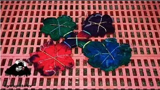 HOW TO TIE DYE | ORIGAMI ON WHITE WITH HOT PINK, TURQ. BLUE, DEEP PURPLE AND BRIGHT GREEN | DIY