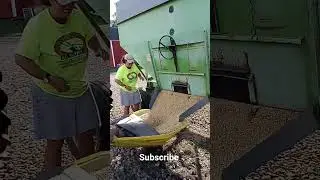 unloading soybeans from parker 2600 grain wagon