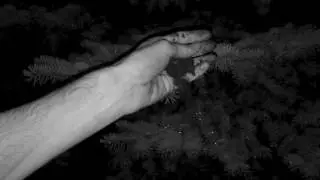 The Darkness - Merciful Nuns | Video: Thomas Thalhammer