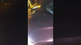 Sound of noisy failing aftermarket LED bulb fans before starting engine