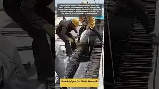 How Bridges Get Their Strength