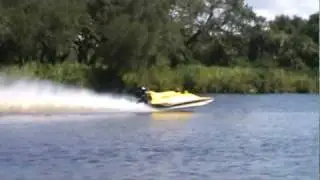 SCREAM AND FLY