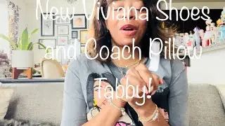 New Vivaia Shoes and the Deep Berry Coach Pillow Tabby!