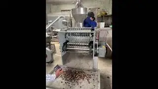 Cashew Nut Shelling Machine Demo ( 2023 ) #shorts #CashewNutShellingMachine #NutProcessing
