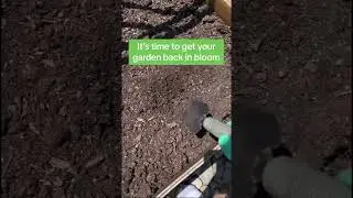 Relief is in Bloom!