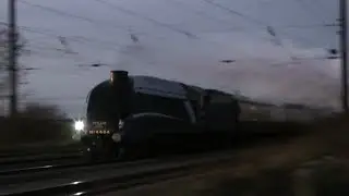 Bittern at 90mph with The Capital Streak