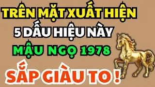 Mậu Ngọ 1978 Nếu Có 5 Dấu Hiệu Này Trên Mặt, Khổ Mấy Cũng May Mắn Thịnh Vượng, Trời Phật Đỡ Đầu!