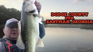 Dodge County Public Fishing Area (Kayak Bass Fishing)