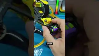 【恰饭蛋】快蜂BEE头又更新了 越来越软 能撑住吗？