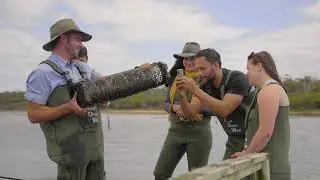 Fresh Tasmanian Oysters with Oyster Bay Tours | It's All Good Down Under | Come and Say G'day