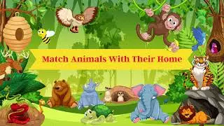 Match Animals With Their Home | Animals Matching | Nursery/KG Worksheet