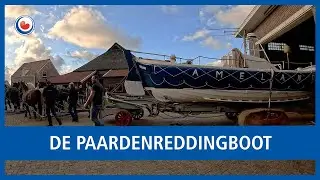 De paardenreddingboot op Ameland