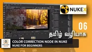 Nuke for Beginners | Color Correction Node in Nuke | Lesson 6/14|Tamil Tutorial