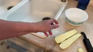 Простая заготовка из цуккини для Pleco&rsquo;s