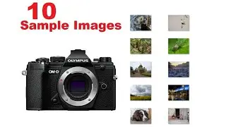 OMD EM5 Mark III Sample Images [Micro Four Thirds] Small Mirrorless Camera with Great Capabilities