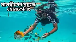 Maafushi Island, Maldives| Snorkeling in the Sea| #maldives #maafushi Day Trip at Maafushi #male 