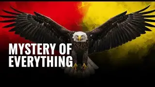 The Bird That Hunted Humans: The Terrifying Reality of Haast&rsquo;s Eagle
