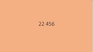 22456