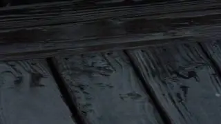 Rain Reflection