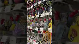 Mr. DIY STORE🤩 in 📍Dehradun #ytshorts #ashortaday #giftideas #cuteaccessories