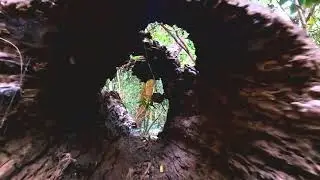 Christian Men's Bushwalking Group