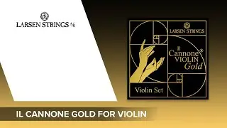 SOUND DEMO & FEATURES 🎻🎶 LARSEN Strings Il Cannone GOLD for Violin