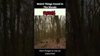 Weird Things Found In The Woods