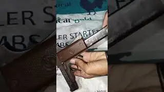 Gun status // desi pistol status